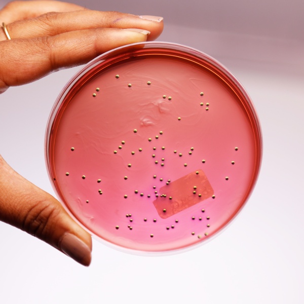 محیط کشت emb آگار 