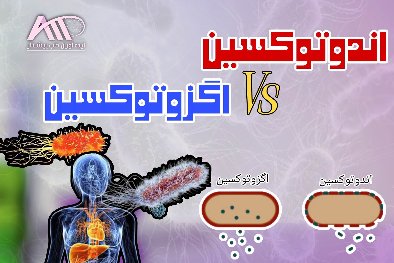 اندوتوکسین و اگزوتوکسین چیست؟ | بررسی کامل تفاوت‌ها، کاربردها و روش‌های تشخیص