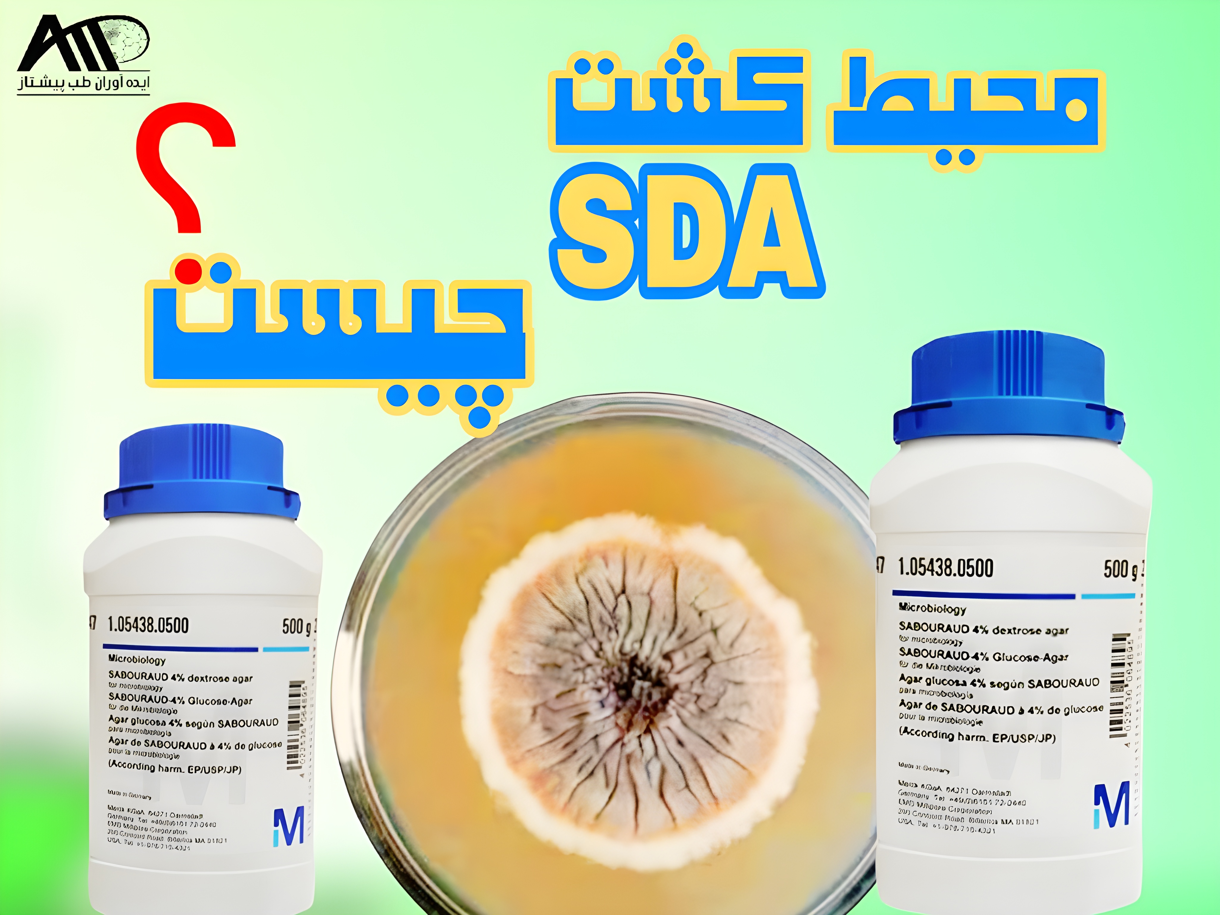 محیط کشت سابرو دکستروز آگار (SDA) چیست؟ + راهنمای خرید