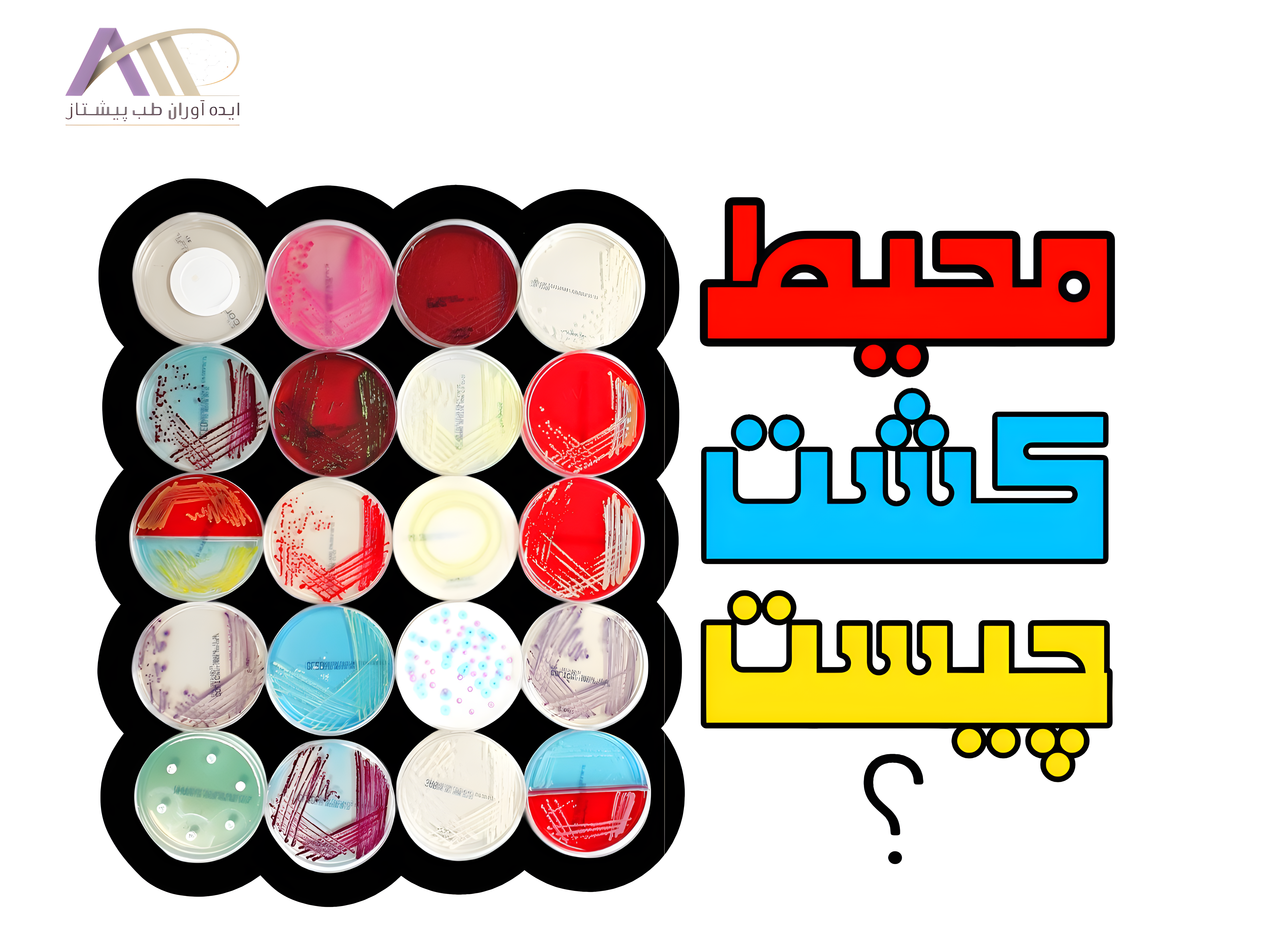 محیط کشت چیست؟ انواع محیط کشت و کاربردها