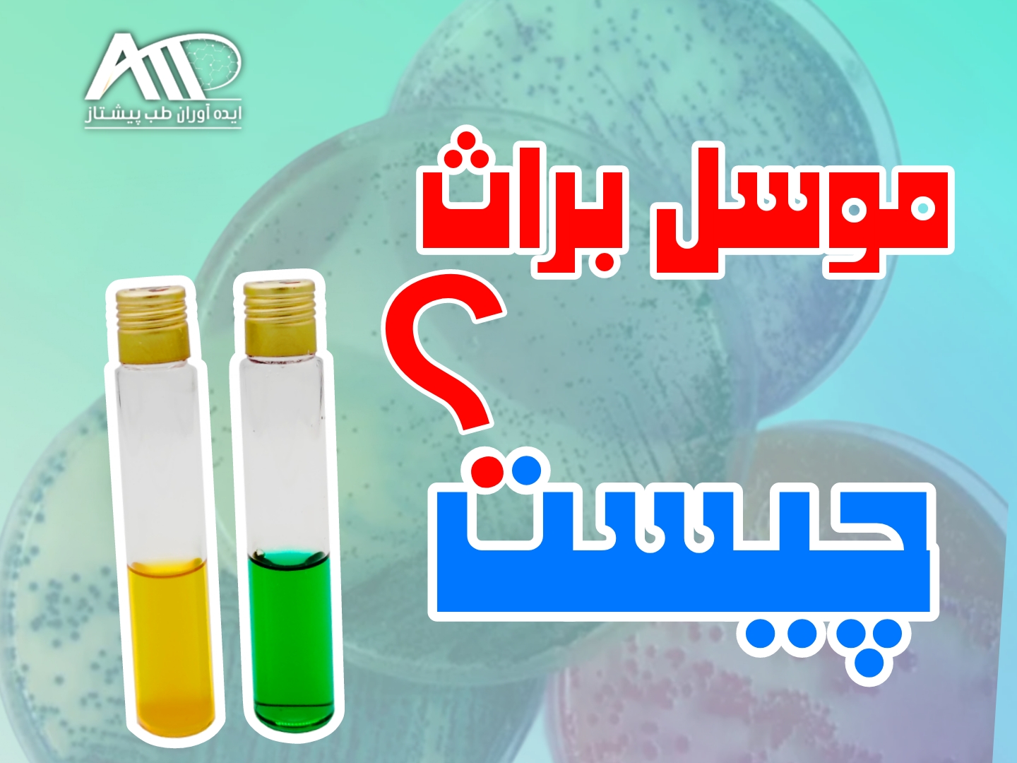 موسل براث چیست؟ راهنمای خرید موسل براث مرک