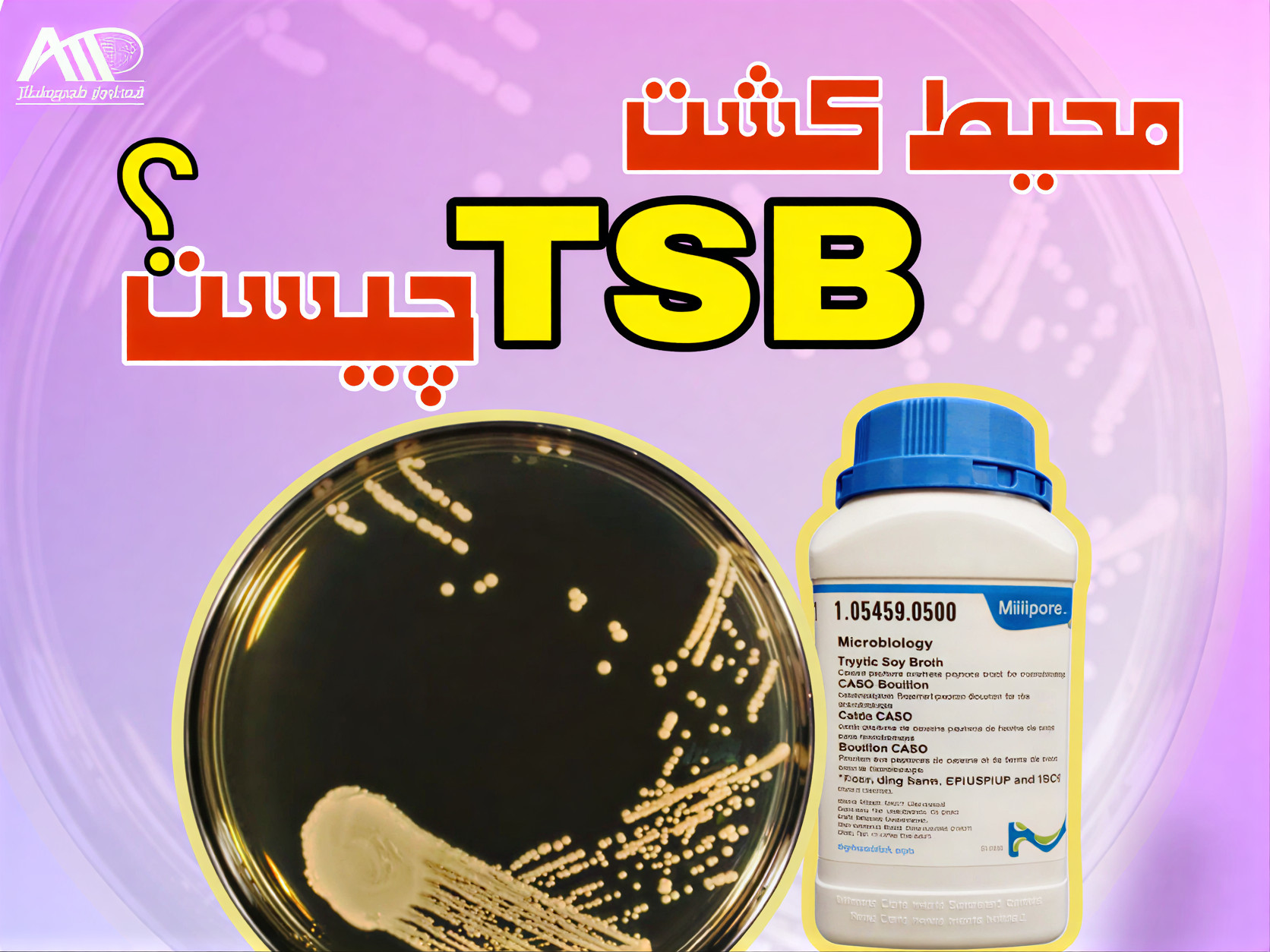 محیط کشت تریپتیک سوی براث (TSB) کد 105459 چیست؟ + راهنمای خرید