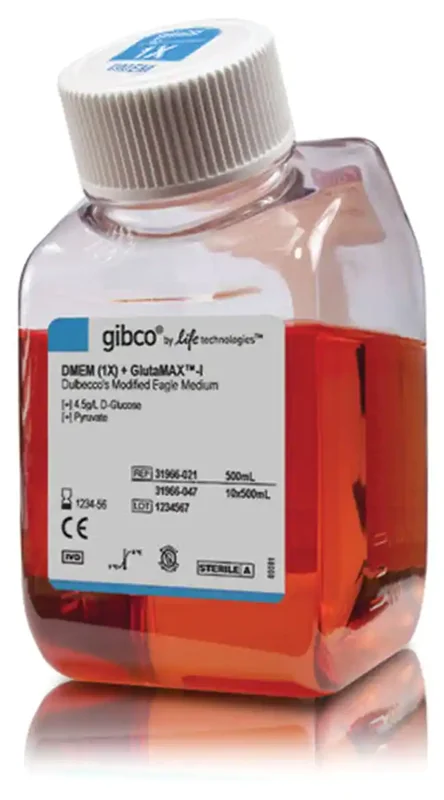 Gibco™ DMEM, high glucose, GlutaMAX™ Supplement, pyruvate Cat: 31966021 / 500ml