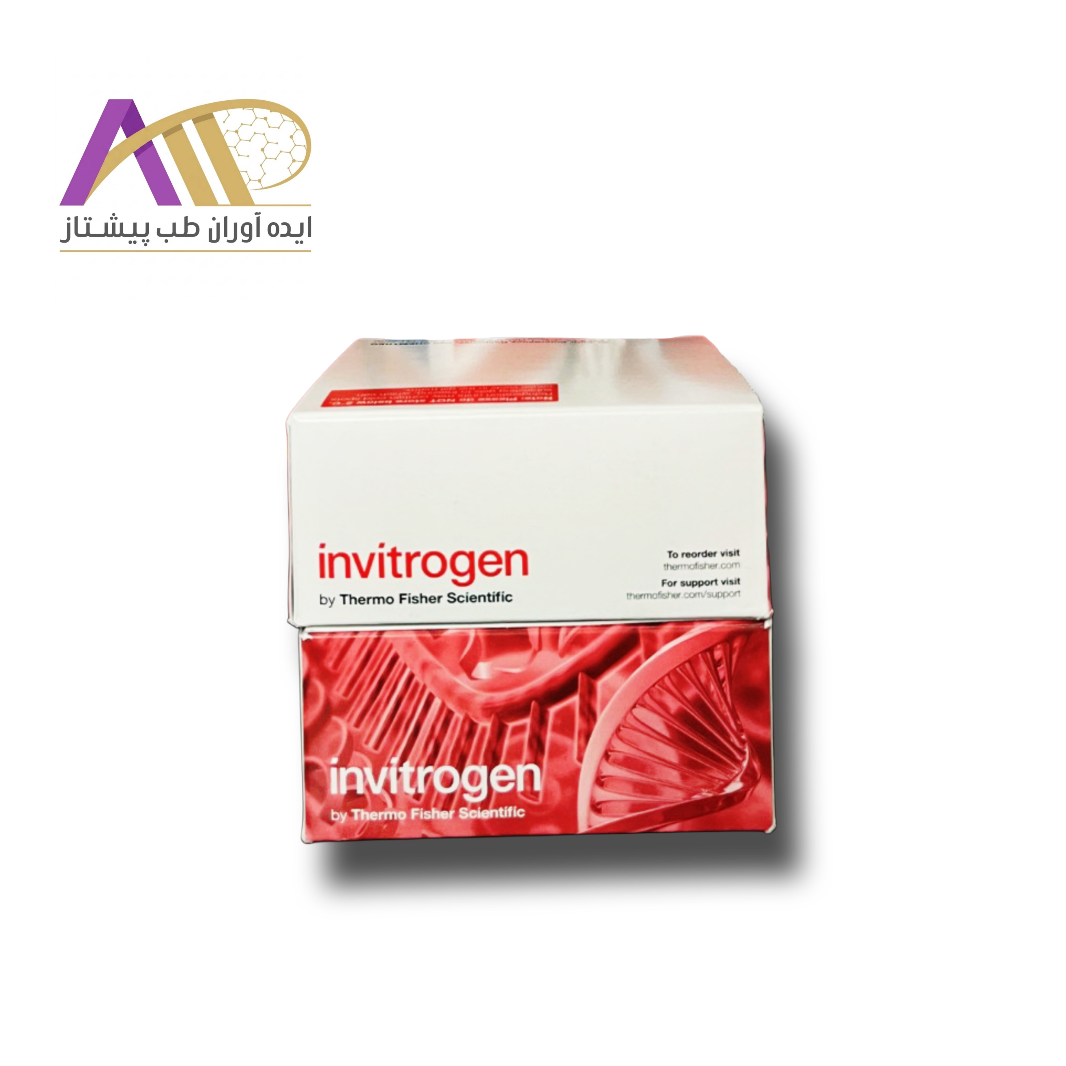 محیط کشت سلولی اینویتروژن (Invitrogen Cell Culture Media)